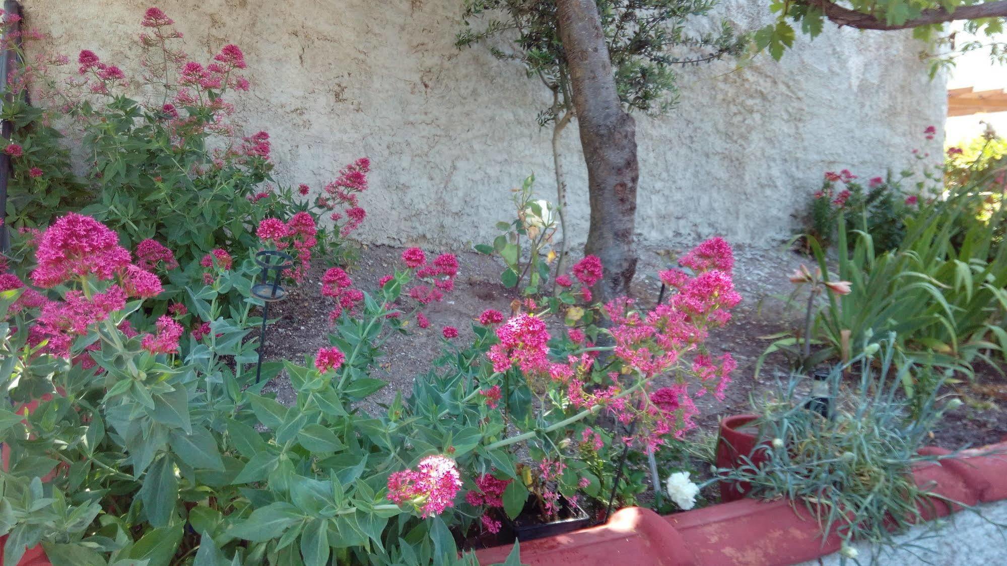 Anessis Cosmos Anaxos Exterior foto